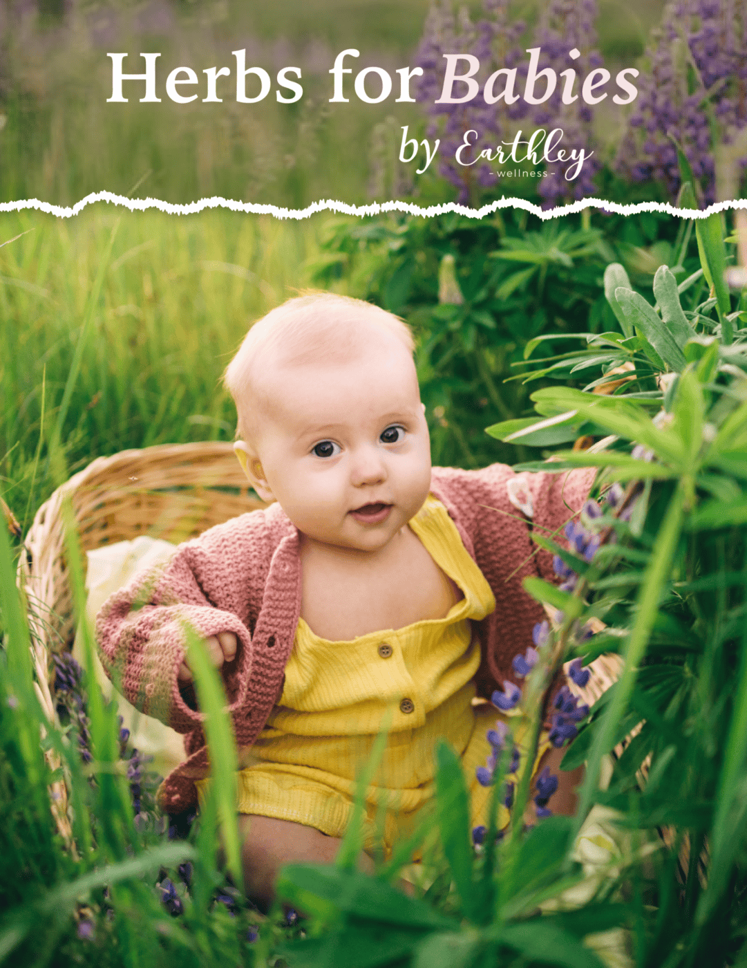 New Baby Bundle | Natural Essentials for Baby Care | Natural