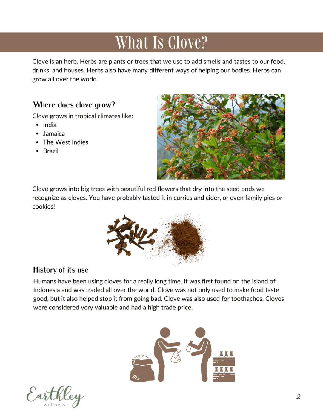 Clove Mini Family Guide {PDF Digital Download} | Natural Wellness