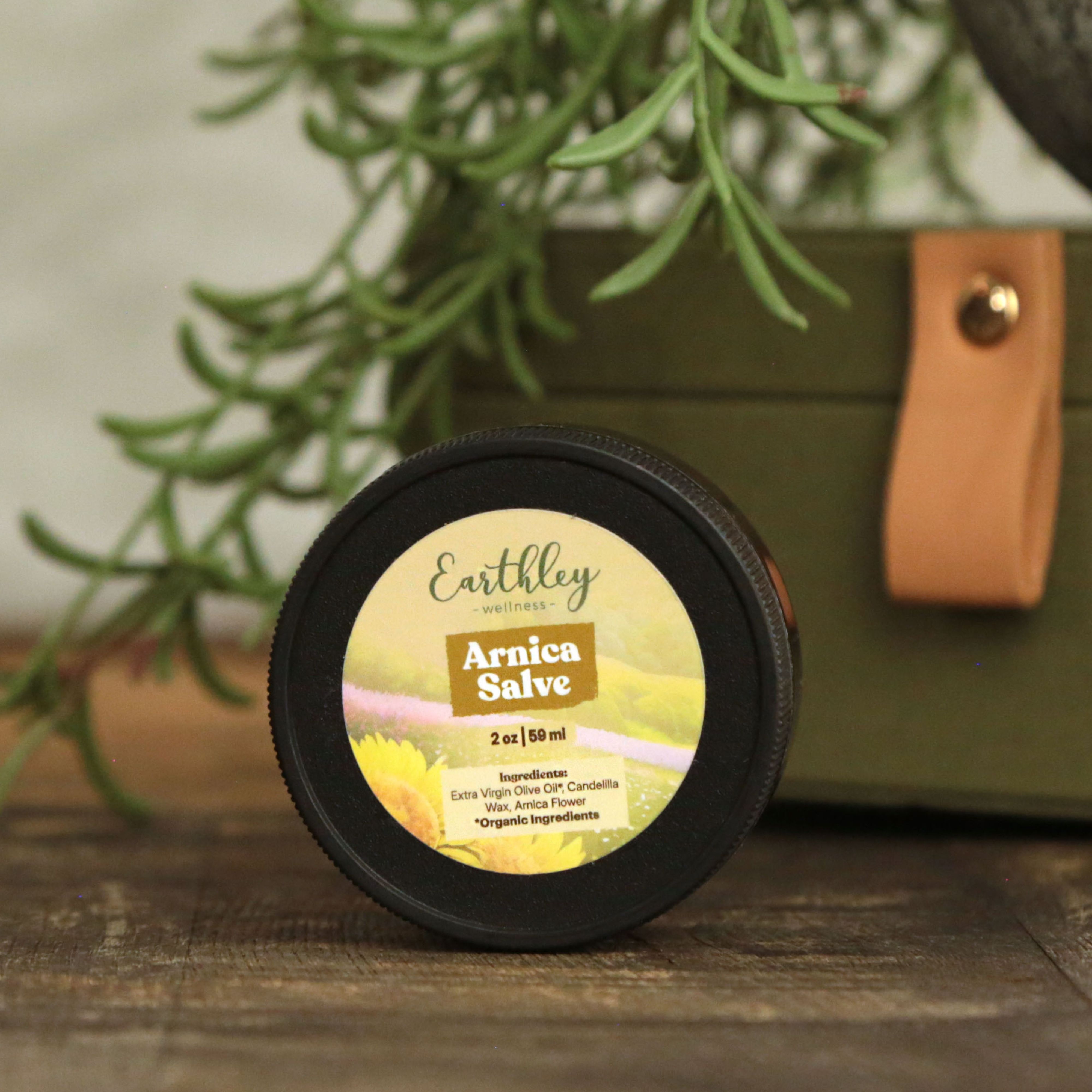 Arnica Salve | Natural Relief for Bruises and Sore Muscles