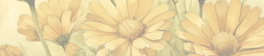 Tinctures and Infusions | Natural Wellness Products | Earthley