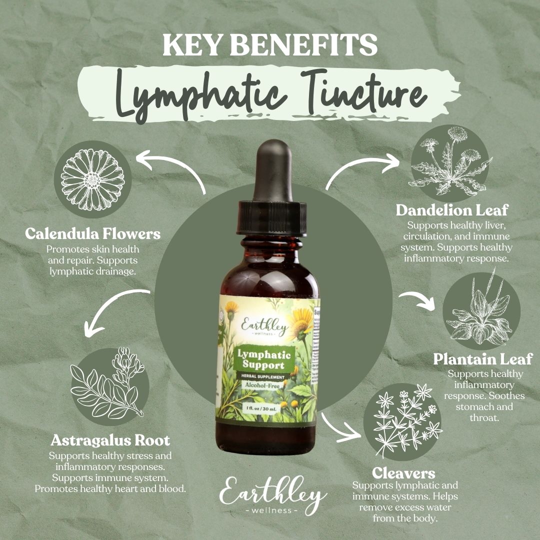 Lymphatic Support Herbal Tincture | Natural Detox & Immune Support