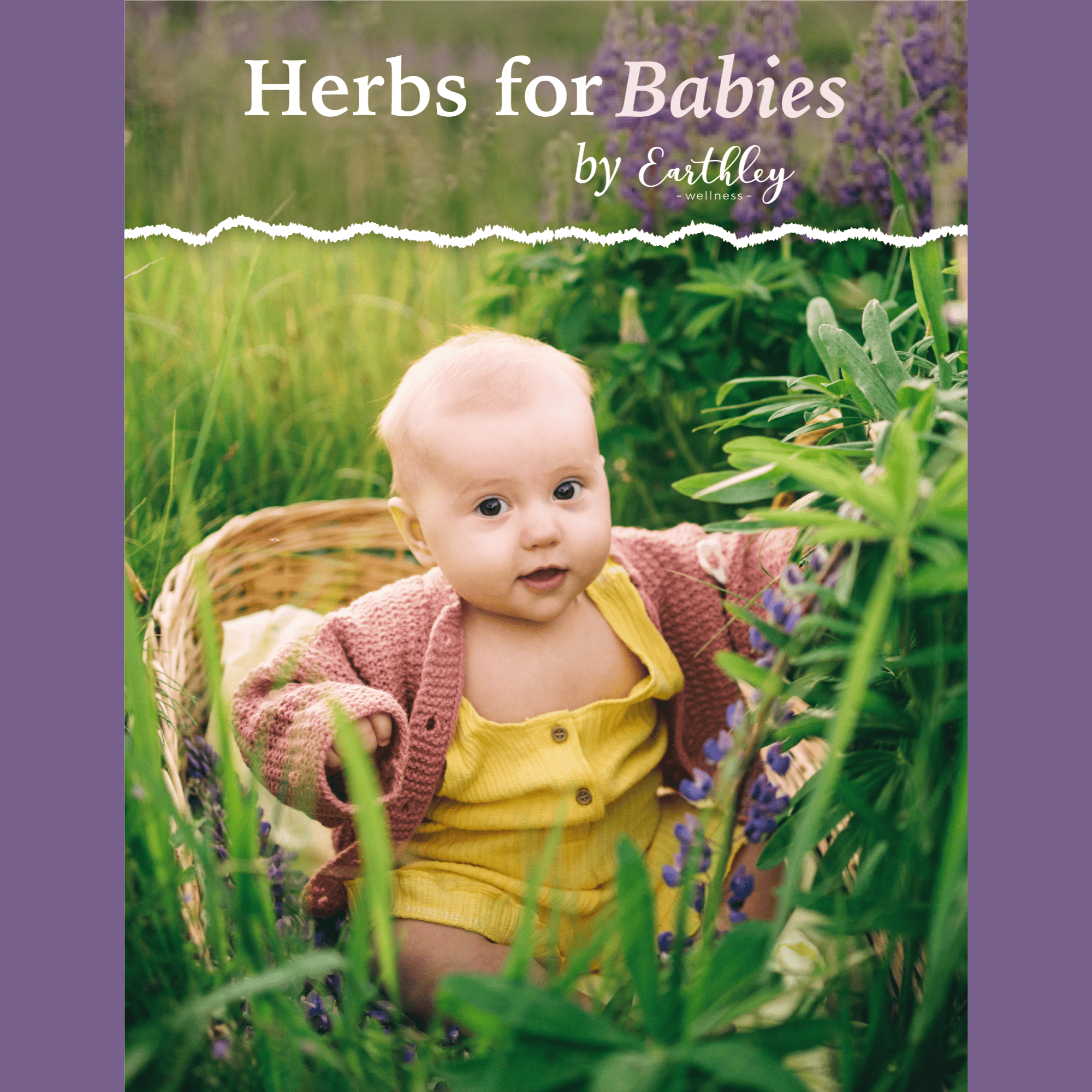 Herbs_for_Babies_Cover_photos_