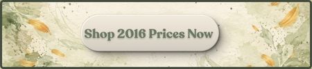 Shop 2016 Prices Now