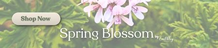 SHOP SPRING BLOSSOM NOW