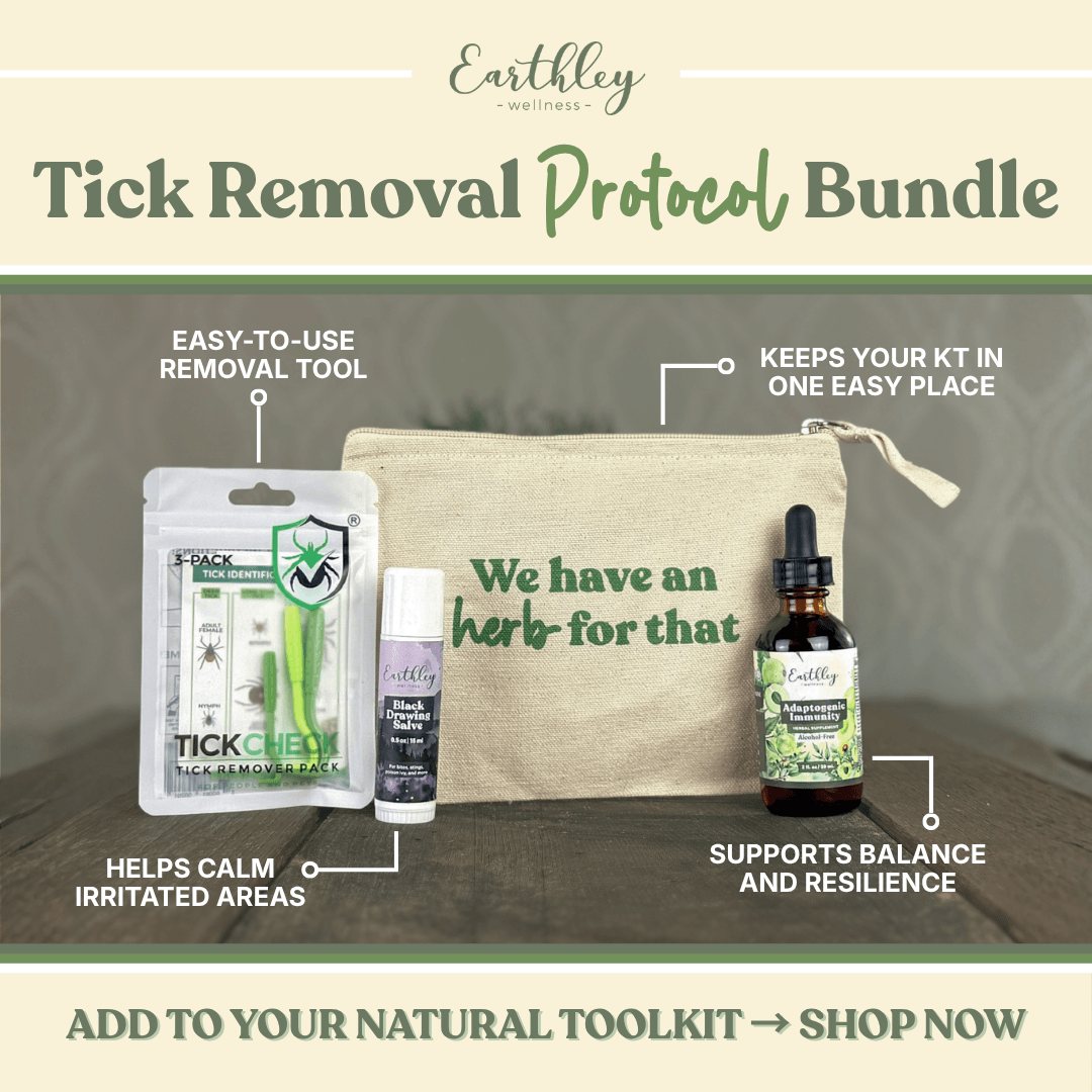 Summer Essentials Bundle | Plant-Based Travel & Outdoor Essentials
