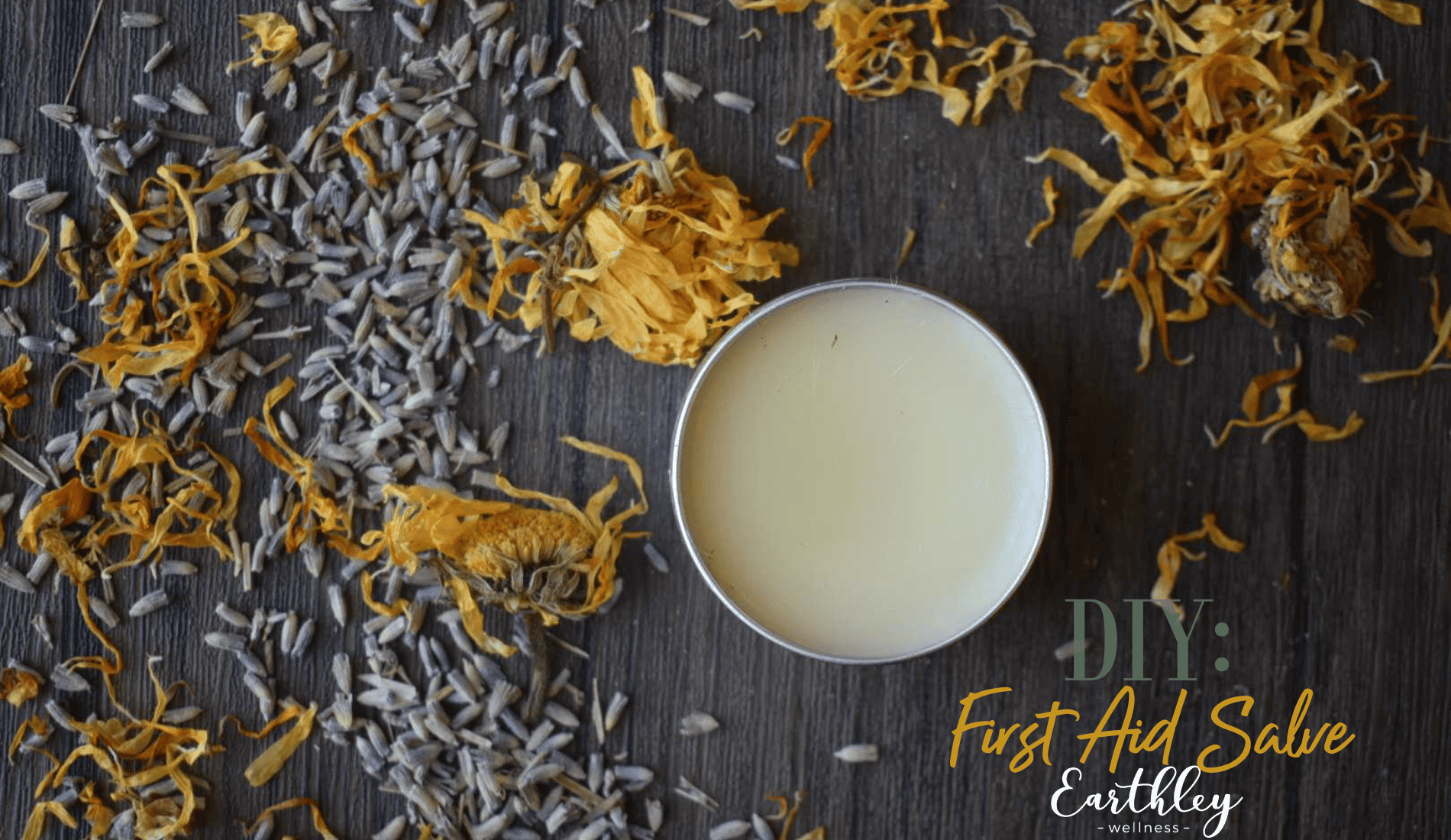 DIY first aid salve in a tin surrounded by calendula petals and lavender buds on a wooden surface